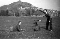 Magyarország,Balaton, Szigliget, Csurka István és Görgey Gábor írók, háttérben a várrom., 1961, Hunyady József, Fortepan #105998