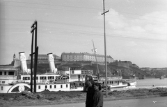 Serbia, Novi Sad, a Felszabadulás gőzhajó a Dunán, háttérben a Péterváradi vár., 1965, Hunyady József, ship, Szőke Tisza II./Felszabadulás/Szent Imre/Sas/IV. Károly ship, Fortepan #106051