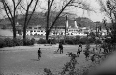 Serbia, Novi Sad, a Felszabadulás gőzhajó a Dunán, háttérben a Péterváradi vár., 1965, Hunyady József, ship, Szőke Tisza II./Felszabadulás/Szent Imre/Sas/IV. Károly ship, Fortepan #106053