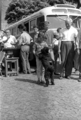 Magyarország, Győr, Apor Vilmos püspök tere (Martinovics tér) a Székesegyház mellett, előtérben Lorraine Power gyermekszereplő. A felvétel Az aranyfej című film forgatásakor készült., 1963, Hunyady József, filmforgatás, kutya, pásztorkutya, pumi, Fortepan #106126