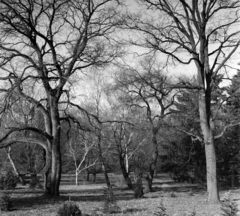 Hungary,Lake Balaton, Szigliget, az Esterházy-kastély, az Írók Alkotóházának parkja., 1965, Hunyady József, Fortepan #106382