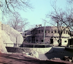 Magyarország, Városliget,Állatkert, Budapest XIV., a Zsiráfház építkezése., 1964, Hunyady József, színes, építkezés, Budapest, állatkert, Fortepan #106410