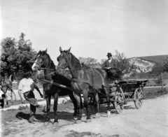 Magyarország, Nemesvámos, a felvétel a Vámosi betyárcsárda mellett készült., 1968, Hunyady József, lovaskocsi, Fortepan #106499