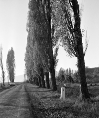 Magyarország,Balaton, Szigliget, Soponyai út a strandnál., 1969, Hunyady József, Fortepan #106550