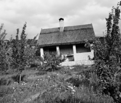 Magyarország,Balaton, Tihany, Sajkod, Mályva utca 6. (Nyaraló 12), Németh László író nyaralója., 1963, Hunyady József, nádtető, nyaraló, Fortepan #106792