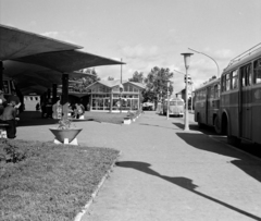 Hungary, Szekszárd, Pollack Mihály utca, autóbusz-pályaudvar., 1965, UVATERV, street furniture, bus, architecture, Ikarus-brand, MÁVAUT-organisation, Ikarus 620, bus terminal, bus stop, Fortepan #10698