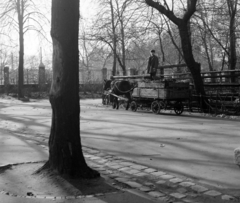 Magyarország, Városliget,Állatkert, Budapest XIV., 1964, Hunyady József, Budapest, Fortepan #107198