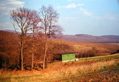 1968, Fortepan, colorful, autumn, landscape, Fortepan #10738