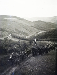 Romania,Transylvania, Észak-Erdély. A felvétel a magyar csapatok bevonulása idején készült., 1940, Kókány Jenő, flag, soldier, Fortepan #107417