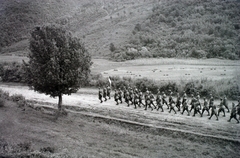 Romania,Transylvania, Észak-Erdély. A felvétel a magyar csapatok bevonulása idején készült., 1940, Kókány Jenő, flag, soldier, Fortepan #107435