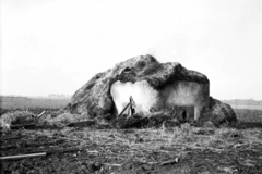 Szerbia, trágyadombnak álcázott jugoszláv bunker. A felvétel a 3. magyar hadsereg délvidéki hadművelete idején készült., 1941, Kókány Jenő, bunker, kiserőd, Fortepan #107534