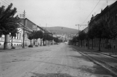 Magyarország, Pécs, Szabadság utca az Indóház tér felől nézve, háttérben a Székesegyház látszik., 1939, Kókány Jenő, reklám, utcakép, villamos, hirdetőoszlop, sínpálya, Fortepan #107614