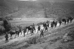 Romania,Transylvania, Észak-Erdély. A felvétel a magyar csapatok bevonulása idején készült., 1940, Kókány Jenő, Fortepan #107669