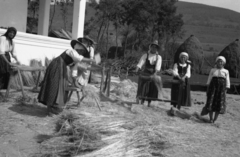 Romania,Transylvania, Észak-Erdély., 1940, Kókány Jenő, scutching, flax processing, Fortepan #107711