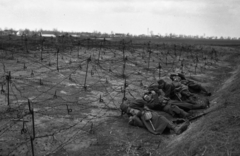 Szerbia, a felvétel a 3. magyar hadsereg délvidéki hadművelete idején készült., 1941, Kókány Jenő, drótakadály, Fortepan #107712