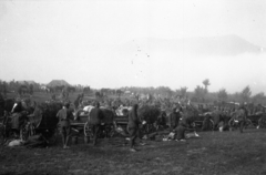 1940, Kókány Jenő, chariot, hillside, Fortepan #107734