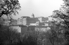 Magyarország, Budapest I., budai Vár, a Budavári Palota (korábban Királyi Palota) a Gellérthegy felől nézve., 1976, Mészöly Leonóra, Budapest, Fortepan #10775