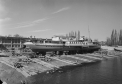 Magyarország, Budapest IV., Újpesti-öböl, Népsziget, MAHART hajójavító, a Petőfi hajó átépítése., 1955, UVATERV, hajó, hajógyártás, gőzhajó, lapátkerekes hajó, Szent László/Petőfi hajó, sólya, Budapest, Fortepan #10874