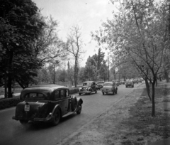 Magyarország, Margitsziget, Budapest, 1954, UVATERV, forgalom, német gyártmány, taxi, Mercedes-márka, Renault-márka, francia gyártmány, EMW-márka, tavasz, automobil, Renault Juvaquatre, EMW 340, rendszám, Fortepan #10889