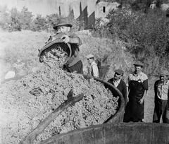 1962, Bauer Sándor, harvest, grape, wooden butte, Fortepan #109205