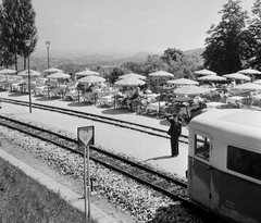 Magyarország, Budapest II., Gyermekvasút (Úttörővasút), Szépjuhászné (Ságvári liget) állomás., 1959, Bauer Sándor, napernyő, kerthelyiség, vasutas, Gyermekvasút, Budapest, Fortepan #109207