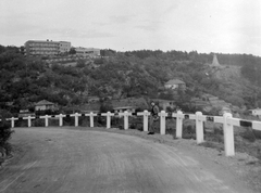 Magyarország, Pécs, Mecsekoldal, balra a Kikelet szálló, jobbra a Francia emlékmű., 1950, Gyöngyi, korlát, útkorlát, Fortepan #10944