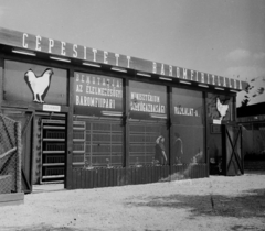 Magyarország, Budapest X., Albertirsai úti vásár területe, Országos Mezőgazdasági Kiállítás és Vásár., 1960, Bauer Sándor, Budapest, baromfi, Fortepan #109615