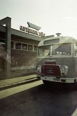 Hungary, Gyöngyös, Koháry út (Április 4. körút), autóbusz-pályaudvar., 1975, Bauer Sándor, colorful, Ikarus-brand, neon sign, bus, Fortepan #109782