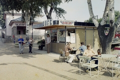 Magyarország, Balatonfűzfő, vasútállomás, Utasellátó büfé., 1977, Bauer Sándor, színes, büfé, vasútállomás, utasellátó, neon felirat, helységnév tábla, pavilon, vasbútor, Fortepan #109869