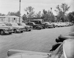 Magyarország,Balaton, Tihany, Glatz Henrik utca, a Motel parkolója., 1960, Bauer Sándor, parkoló, rendszám, Peugeot 303, FSO Warszawa, Fortepan #109973