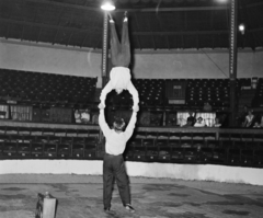 Magyarország, Városliget, Budapest XIV., Fővárosi Nagycirkusz., 1958, Bauer Sándor, cirkusz, Budapest, artista, Fortepan #110068