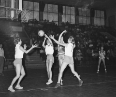 Magyarország, Budapest XIV., Istvánmezei út 3-5. Nemzeti Sportcsarnok (később Gerevich Aladár Nemzeti Sportcsarnok)., 1957, Bauer Sándor, sport, sport mez, kosárlabda, Budapest, kosárlabda palánk, Fortepan #110180