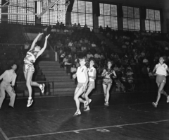 Magyarország, Budapest XIV., Istvánmezei út 3-5. Nemzeti Sportcsarnok (később Gerevich Aladár Nemzeti Sportcsarnok)., 1957, Bauer Sándor, sport, sport mez, sportcsarnok, kosárlabda, Budapest, kosárlabda palánk, Fortepan #110181