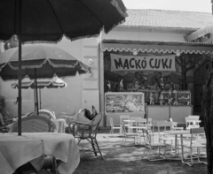 Hungary, Margit Islands, Budapest, MACKÓ CUKI gyerek cukrászda a Casino mellett., 1962, Bauer Sándor, pastry shop, Fortepan #110223