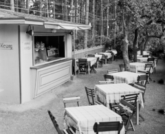 Magyarország, Balatonvilágos, Klára-telep, Rákóczi út, a Délpesti Üzemi Vendéglátó Vállalat üdülője és büféje., 1965, Bauer Sándor, felirat, büfé, asztal, szék, pavilon, Fortepan #110372