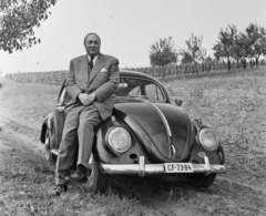 1963, Bauer Sándor, Volkswagen-márka, férfi, rendszám, Volkswagen Bogár, autón ülni, Fortepan #110578