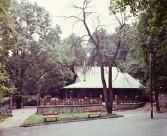 Magyarország, Budapest XII., Szilassy út 18., Disznófő vendéglő., 1970, Bauer Sándor, színes, Budapest, Fortepan #110624