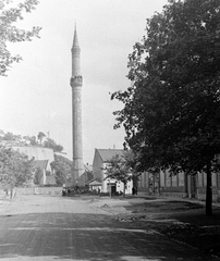 Magyarország, Eger, Minaret a Knézich Károly utcából nézve, háttérben a vár., 1960, Kurutz Márton, mecset, Fortepan #11110