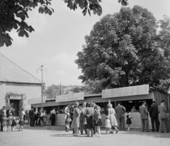 Magyarország, Ajka, Csingervölgy, bányásznapi ünnepség., 1959, Bauer Sándor, vendéglátás, sokaság, pavilon, Fortepan #111247