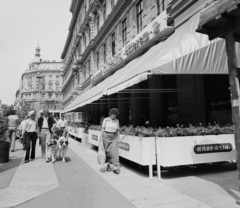 Magyarország, Budapest V., Ferenciek tere (Károlyi Mihály utca) a Kossuth Lajos utca felé nézve, jobbra a Kárpátia söröző terasza., 1979, Bauer Sándor, kutya, járókelő, utcakép, étterem, terasz, virágtartó, Budapest, UFO-lámpa, napellenző, kutyasétáltatás, Fortepan #111733