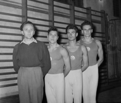 Magyarország, a BP Petőfi SC sportolói., 1957, Bauer Sándor, csoportkép, férfiak, bordásfal, sportdressz, hátratett kéz, embléma, nagyság szerint, tornász, Fortepan #111833