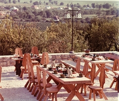 Magyarország,Balaton, Vonyarcvashegy, Helikon Taverna., 1969, Bauer Sándor, színes, Fortepan #111895