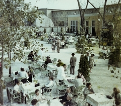 Magyarország, Budapest X., Albertirsai úti vásár területe, Országos Mezőgazdasági Kiállítás és Vásár., 1958, Bauer Sándor, színes, kerthelyiség, Budapest, Fortepan #112087