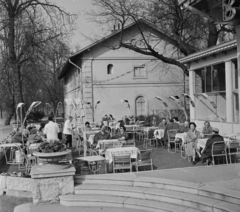 Magyarország, Margitsziget, Budapest, Casino., 1960, Bauer Sándor, vendéglő, terasz, kerthelyiség, Fortepan #112123