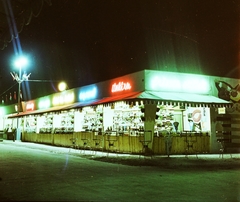 Magyarország, Budapest X., Albertirsai úti vásár területe, Országos Mezőgazdasági Kiállítás és Vásár., 1959, Bauer Sándor, színes, éjszaka, neon felirat, Budapest, Fortepan #112138