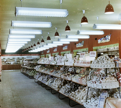 Magyarország, Budapest X., Albertirsai úti vásár területe, Országos Mezőgazdasági Kiállítás és Vásár. A Közért vállalat önkiszolgáló boltja., 1959, Bauer Sándor, színes, Budapest, élelmiszerbolt, Közért Vállalat, Fortepan #112145