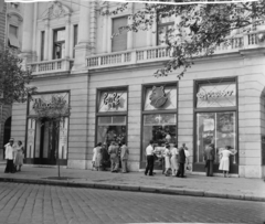 Magyarország, Budapest VIII., Rákóczi út 9., Puskin utca sarok, Mackó büfé., 1959, Bauer Sándor, kirakat, eszpresszó, neonreklám, büfé, kockakő, bisztró, neon felirat, Budapest, Mackó Büfé, Fortepan #112685