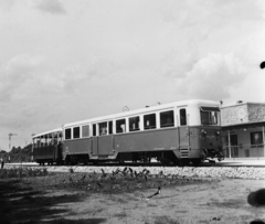 Magyarország, Széchenyihegy, Budapest XII., a Gyermekvasút (Úttörővasút) végállomása., 1959, Bauer Sándor, vasútállomás, Gyermekvasút, Budapest, Fortepan #113619