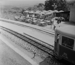 Magyarország, Budapest II., Gyermekvasút (Úttörővasút), Szépjuhászné (Ságvári liget) állomás., 1959, Bauer Sándor, kerthelyiség, Gyermekvasút, Budapest, Fortepan #114021