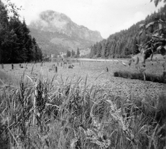 Romania,Transylvania, Lacul Rosu,Hasmas Mountains, 1941, Gyöngyi, Fortepan #11406